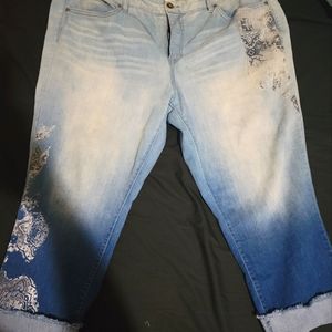 Terra & Sky denim capri pants